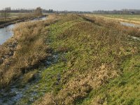 NL, Noord-Brabant, Oss, Haren, Groenendijk 3, Saxifraga-Jan van der Straaten